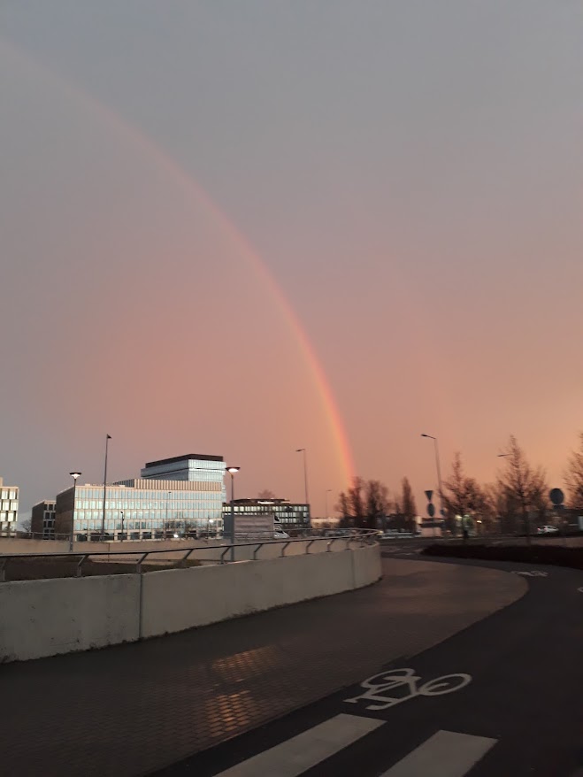 Disbelief Disqualifies Witness